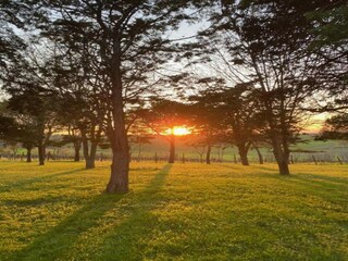 Appartement Coriano Environnement 29