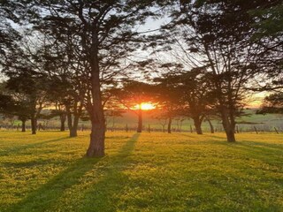 Apartment Coriano Environment 19