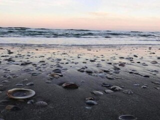 Apartment Coriano Umgebung 35