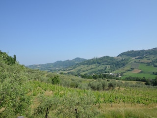 Ferienhaus Coriano Außenaufnahme 9