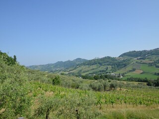 Vakantiehuis Coriano Buitenaudio-opname 7