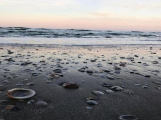 Holiday house Coriano Environment 26