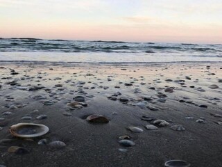 Vakantiehuis Coriano Omgeving 31