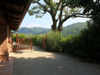 Apartment Sestino Outdoor Recording 5