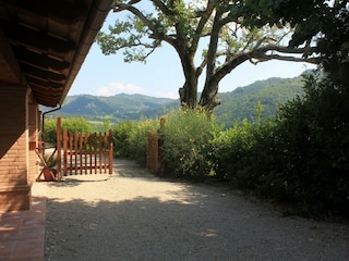 Appartement Sestino Buitenaudio-opname 9