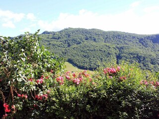 Appartement Sestino Buitenaudio-opname 11