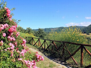 Apartamento Sestino Grabación al aire libre 5