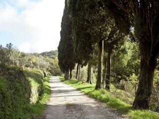 Casa de vacaciones Pratolino Entorno 37