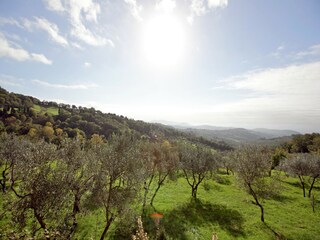 Vakantiehuis Pratolino Omgeving 38