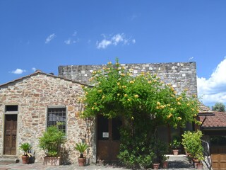 Apartamento Greve in Chianti Grabación al aire libre 14