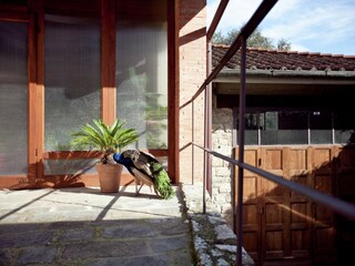 Appartement Greve in Chianti Buitenaudio-opname 13