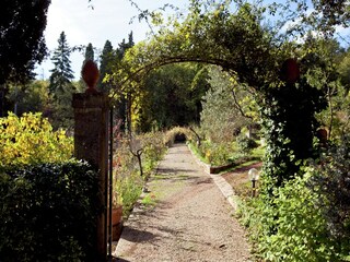 Apartment Greve in Chianti Außenaufnahme 11