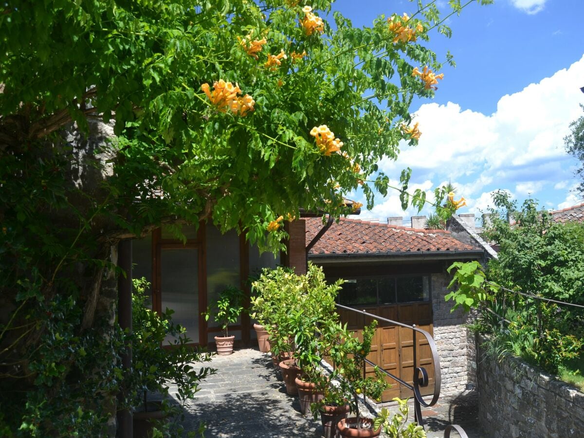 Apartment Greve in Chianti  42