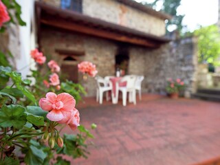 Appartement Greve in Chianti  32