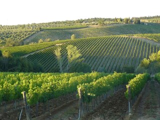 Vakantiehuis Tavarnelle Val di Pesa Omgeving 33