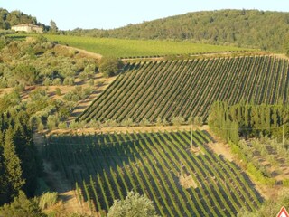 Vakantiehuis Tavarnelle Val di Pesa Omgeving 29