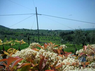 Casa de vacaciones Tavarnelle Val di Pesa Entorno 35