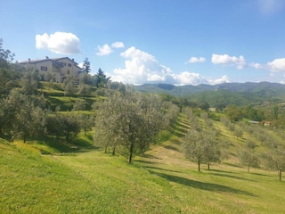 Vakantiehuis Tavarnelle Val di Pesa Omgeving 36