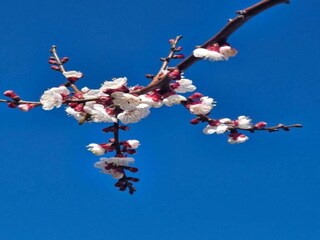 Ferienhaus Tavarnelle Val di Pesa Umgebung 25
