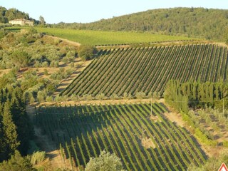 Vakantiehuis Tavarnelle Val di Pesa Omgeving 29