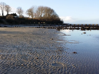 Niedrigwasser in Neukirchen