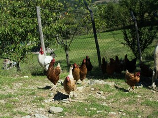 Casa per le vacanze Borgo San Lorenzo  35