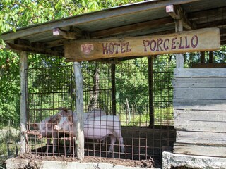 Vakantiehuis Borgo San Lorenzo  38