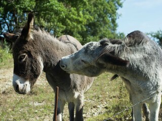 Holiday house Borgo San Lorenzo  37
