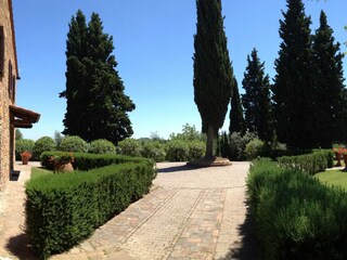 Apartment Castelfalfi Outdoor Recording 5