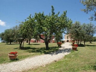 Vakantiehuis Capraia e Limite Buitenaudio-opname 8