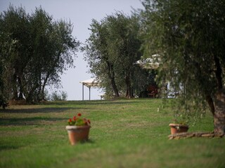 Vakantiehuis Capraia e Limite Buitenaudio-opname 11