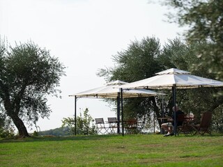 Vakantiehuis Capraia e Limite Buitenaudio-opname 12