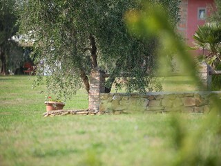 Vakantiehuis Capraia e Limite Buitenaudio-opname 13