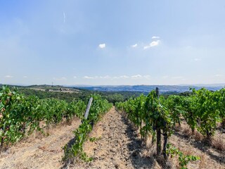 Maison de vacances Capraia e Limite Environnement 38