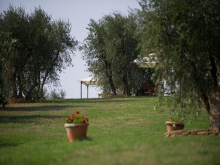 Vakantiehuis Capraia e Limite Buitenaudio-opname 5