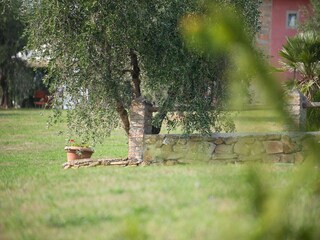Vakantiehuis Capraia e Limite Buitenaudio-opname 8
