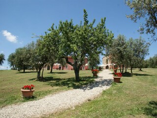 Vakantiehuis Capraia e Limite Buitenaudio-opname 19