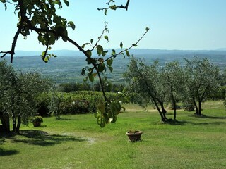 Holiday house Capraia e Limite Outdoor Recording 14