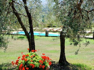Holiday house Capraia e Limite Outdoor Recording 17