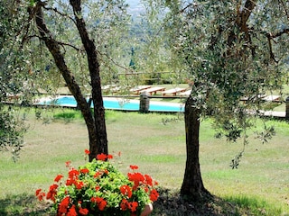 Vakantiehuis Capraia e Limite Buitenaudio-opname 12
