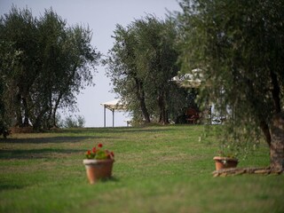 Maison de vacances Capraia e Limite Enregistrement extérieur 20