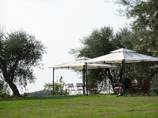 Vakantiehuis Capraia e Limite Buitenaudio-opname 14