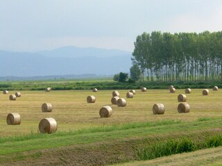 Casa per le vacanze Fucecchio Ambiente 35