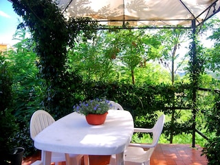 Ferienhaus Fucecchio Außenaufnahme 16