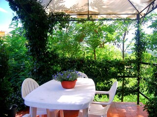 Ferienhaus Fucecchio Außenaufnahme 5