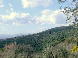 Holiday house Fucecchio Environment 31