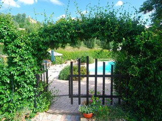 Holiday house Fucecchio Outdoor Recording 8