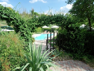 Ferienhaus Fucecchio Außenaufnahme 8