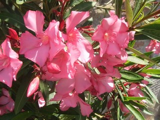 Maison de vacances Vinci  37