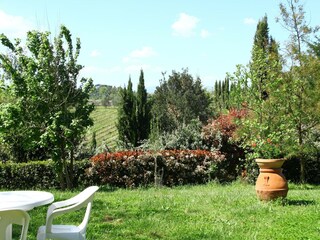 Casa per le vacanze Vinci Registrazione all'aperto 10